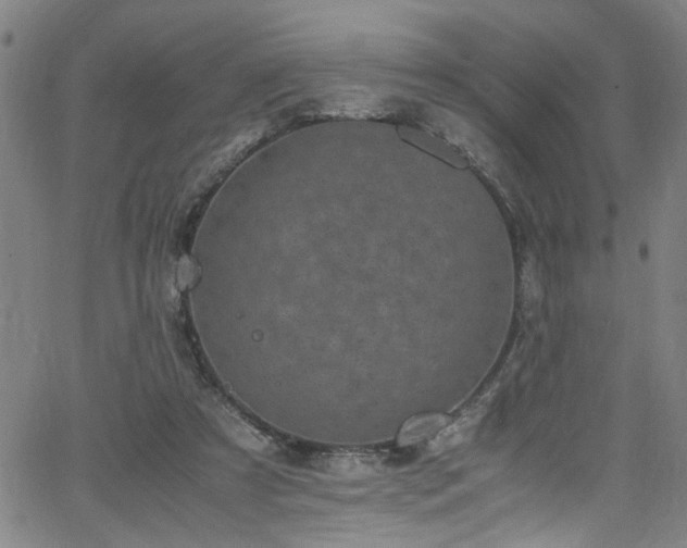 X0000065980305200603061221