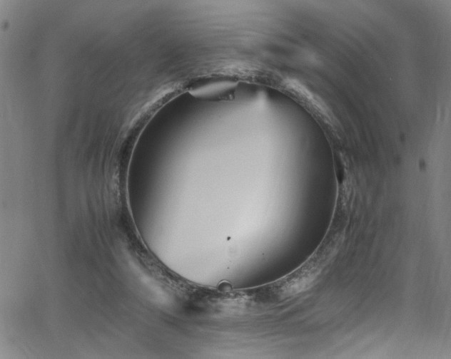 X0000065980306200603061221