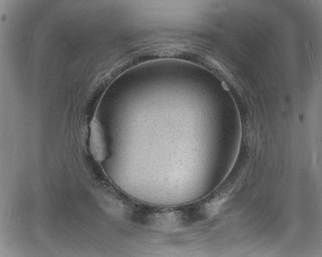 X0000065980307200603061221