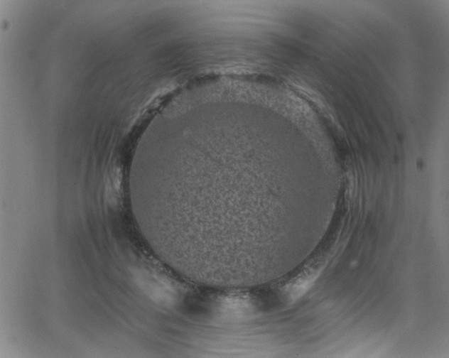 X0000065980308200603061221