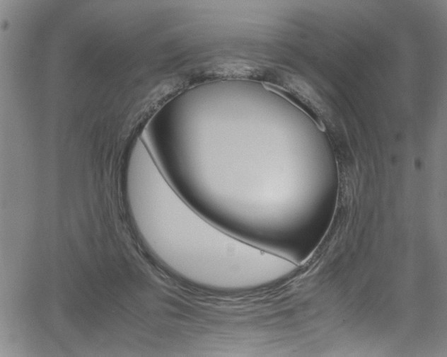 X0000065980309200603061221