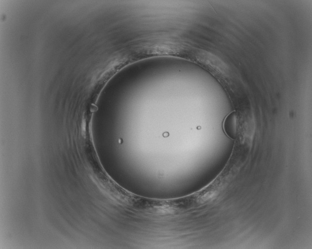 X0000065980310200603061221