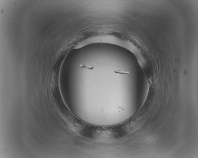 X0000065980311200603061221