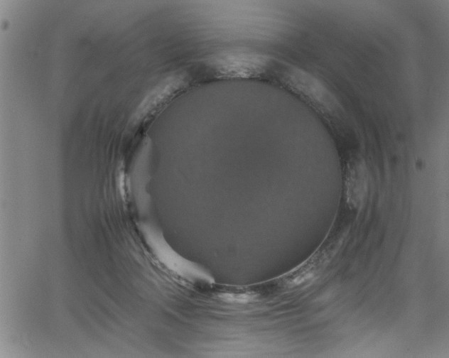 X0000065980314200603061221