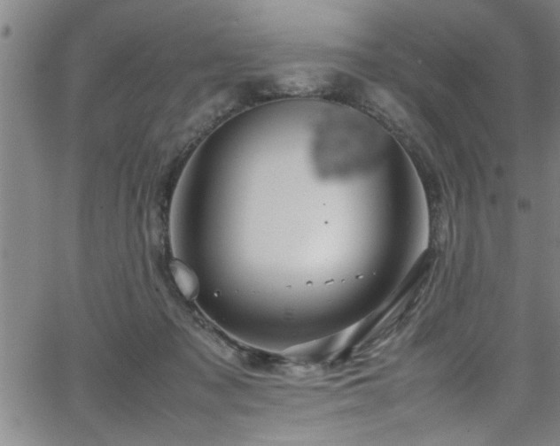 X0000065980317200603061221