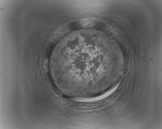 X0000065980319200603061221