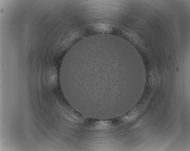 X0000065980320200603061221