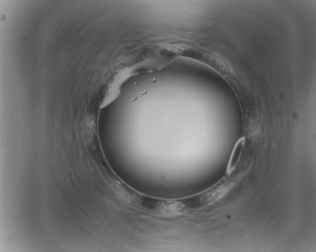 X0000065980321200603061221