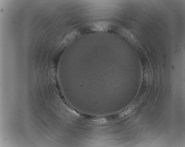 X0000065980322200603061221