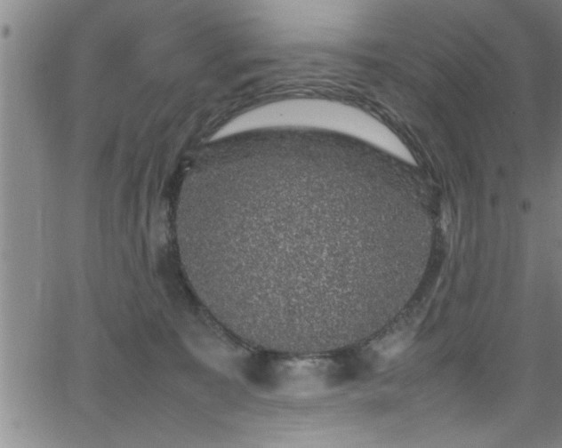 X0000065980323200603061221