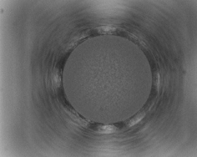 X0000065980324200603061221