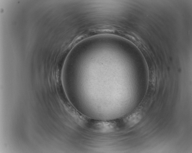 X0000065980326200603061221