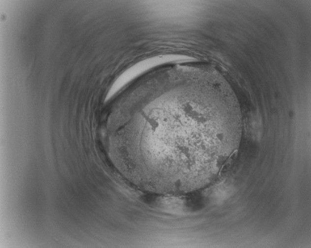 X0000065980327200603061221