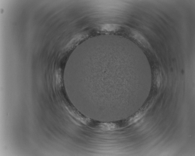 X0000065980328200603061221