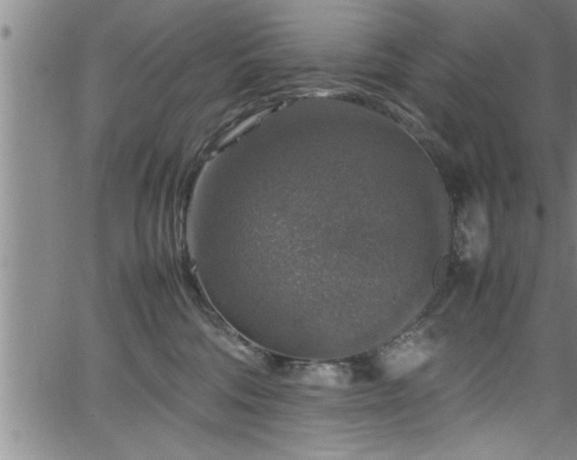 X0000065980330200603061221