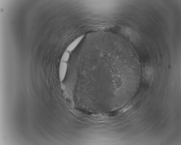 X0000065980331200603061221