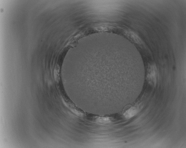 X0000065980332200603061221