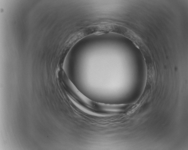 X0000065980333200603061221