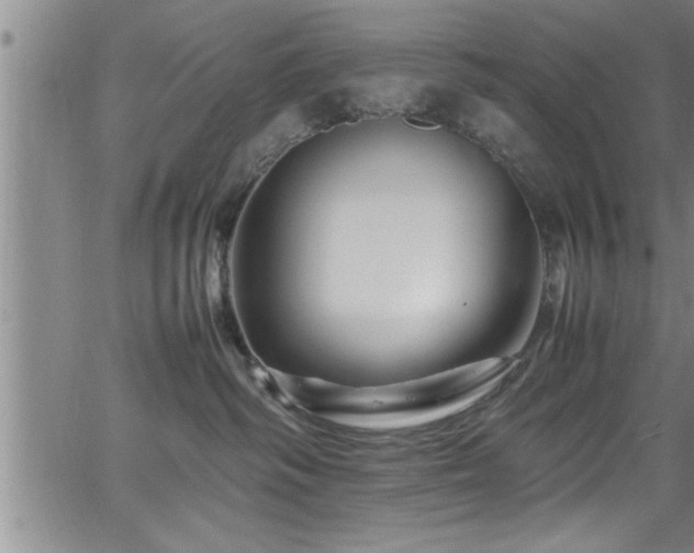 X0000065980334200603061221