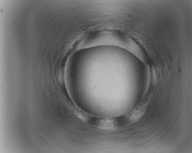 X0000065980335200603061221