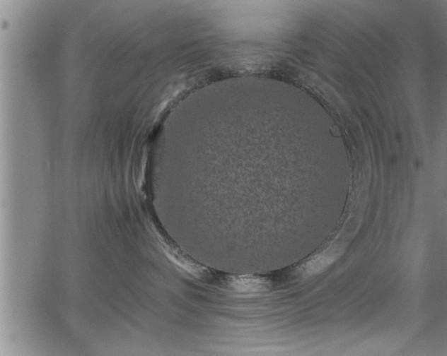 X0000065980336200603061221