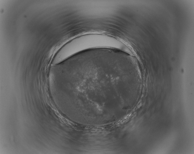 X0000065980337200603061220