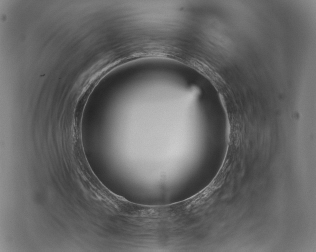 X0000065980338200603061220