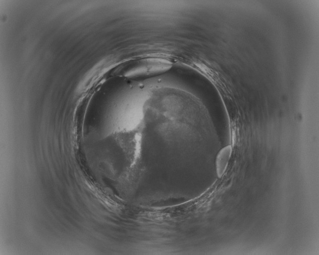 X0000065980339200603061220