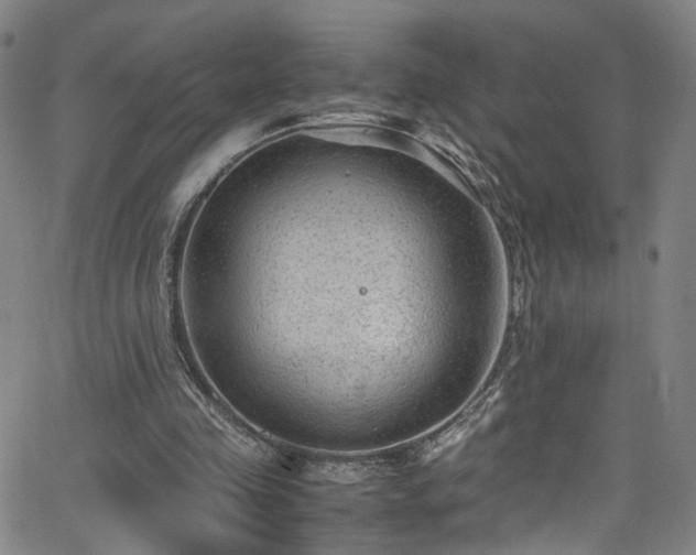 X0000065980341200603061220