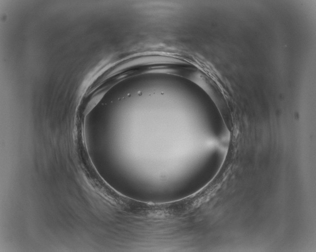 X0000065980344200603061220