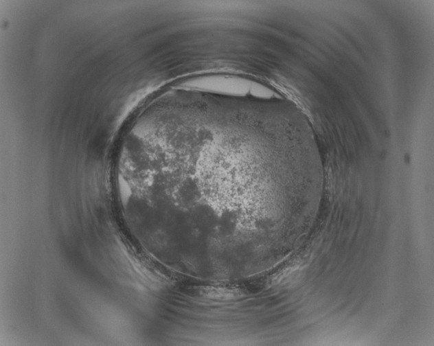 X0000065980347200603061220