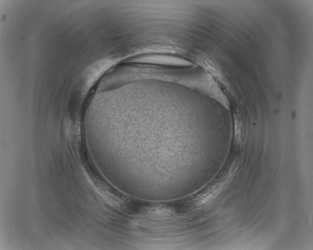 X0000065980348200603061220