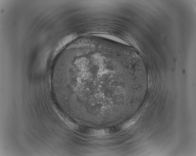 X0000065980349200603061220