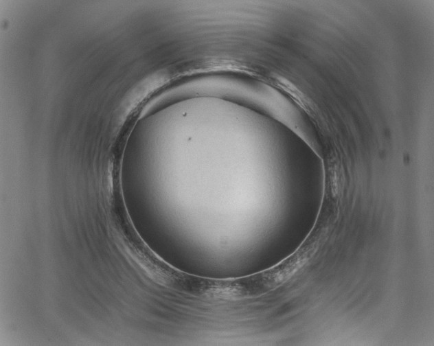 X0000065980350200603061220