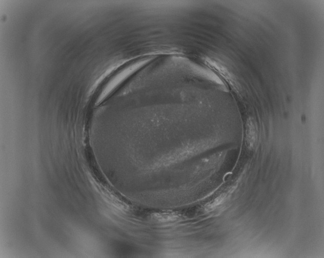 X0000065980351200603061220