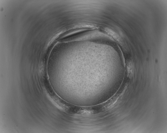 X0000065980352200603061220