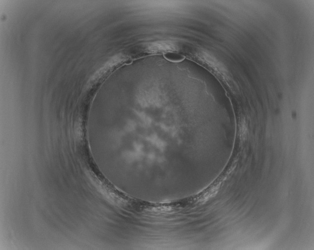 X0000065980353200603061220