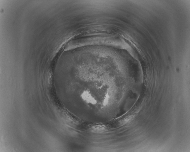 X0000065980355200603061220