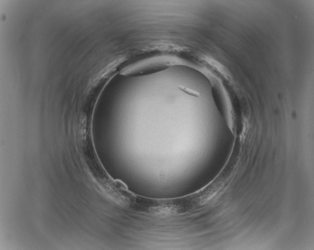 X0000065980356200603061220