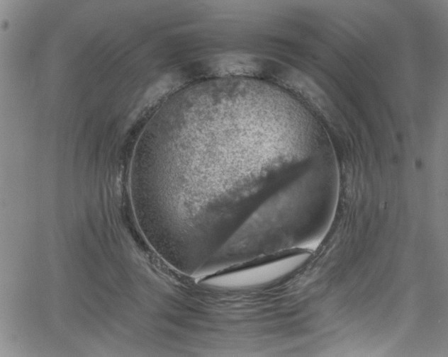 X0000065980357200603061220