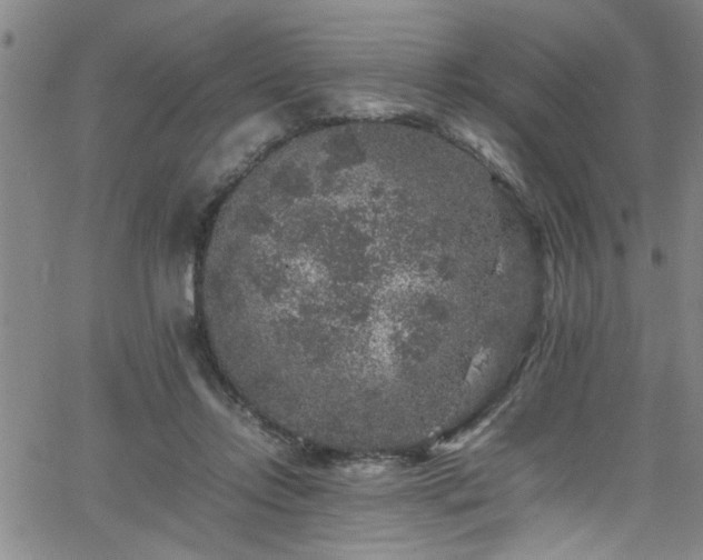 X0000065980358200603061220