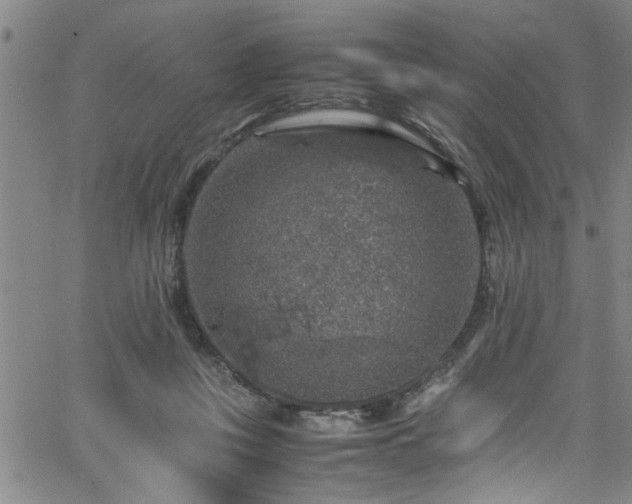 X0000065980359200603061220