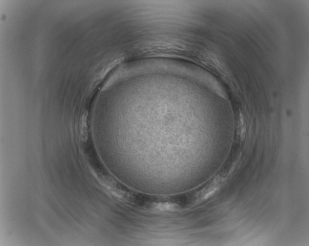 X0000065980360200603061220