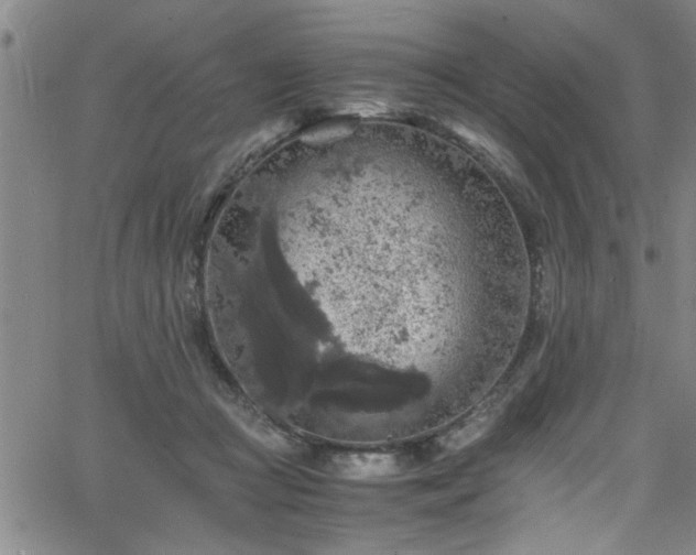 X0000065980361200603061220