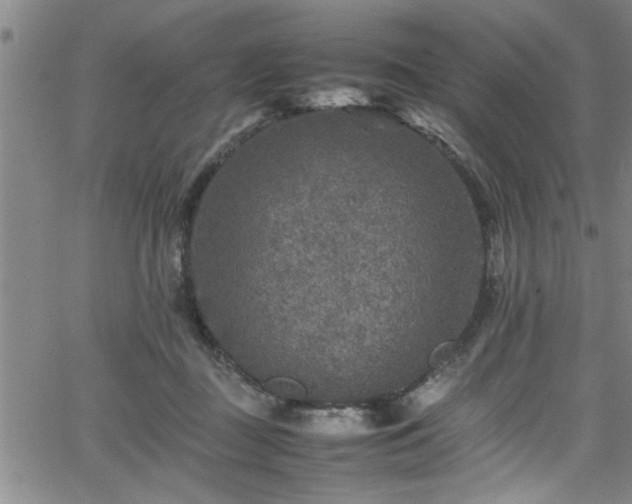 X0000065980363200603061220