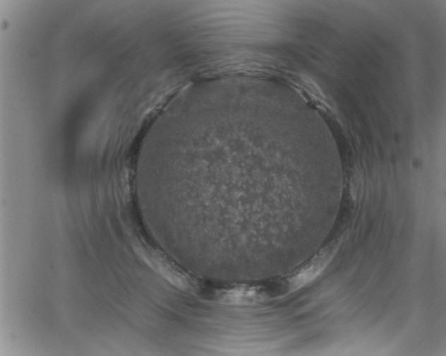 X0000065980366200603061220