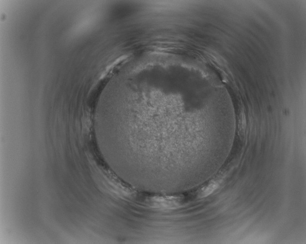 X0000065980367200603061220