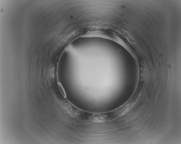 X0000065980368200603061220