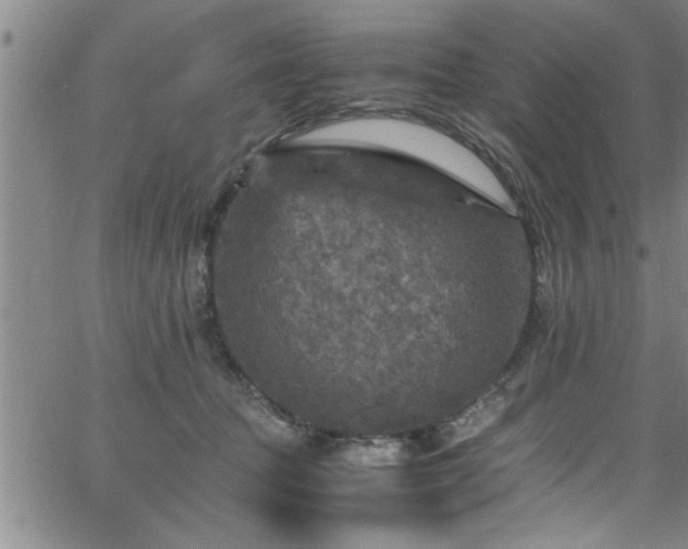 X0000065980369200603061220