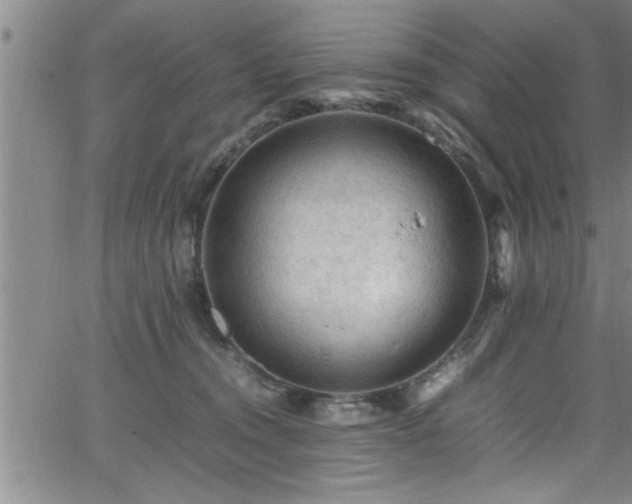 X0000065980372200603061220